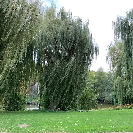 Ferienwohnung Gerle